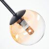 Chehalis Plafondlamp, Kogellampje Amber, Duidelijk, Rookkleurig, 5-lichts