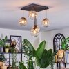 Chehalis Plafondlamp, Kogellampje Amber, Duidelijk, 5-lichts