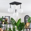 Chehalis Plafondlamp, Kogellampje Wit, 5-lichts