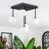 Chehalis Plafondlamp, Kogellampje Wit, 5-lichts