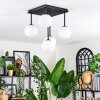 Chehalis Plafondlamp, Kogellampje Wit, 5-lichts