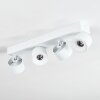 Narel Plafondlamp, Plafondspot LED Wit, 4-lichts