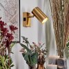 Javel Wandlamp, Muurspot Goud, 1-licht