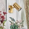 Javel Wandlamp, Muurspot Goud, 1-licht