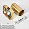 Javel Wandlamp, Muurspot Goud, 1-licht