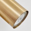 Javel Wandlamp, Muurspot Goud, 1-licht