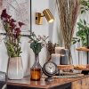 Javel Wandlamp, Muurspot Goud, 1-licht