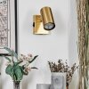 Javel Wandlamp, Muurspot Goud, 1-licht