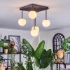 Chehalis Plafondlamp, Kogellampje Wit, 5-lichts