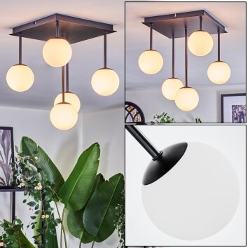 Chehalis Plafondlamp, Kogellampje Wit, 5-lichts