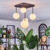 Chehalis Plafondlamp, Kogellampje Wit, 5-lichts