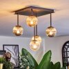 Chehalis Plafondlamp, Kogellampje Amber, Duidelijk, Rookkleurig, 5-lichts