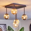 Chehalis Plafondlamp, Kogellampje Amber, Duidelijk, Rookkleurig, 5-lichts