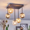 Chehalis Plafondlamp, Kogellampje Amber, Duidelijk, Rookkleurig, 5-lichts