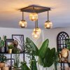 Chehalis Plafondlamp, Kogellampje Amber, Duidelijk, Rookkleurig, 5-lichts