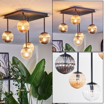 Chehalis Plafondlamp, Kogellampje Amber, Duidelijk, Rookkleurig, 5-lichts