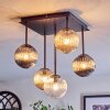 Chehalis Plafondlamp, Kogellampje Amber, Duidelijk, Rookkleurig, 5-lichts