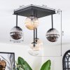 Chehalis Plafondlamp, Kogellampje Amber, Duidelijk, Rookkleurig, 5-lichts