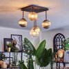 Chehalis Plafondlamp, Kogellampje Amber, Duidelijk, Rookkleurig, 5-lichts