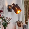Fallhagen Wandlamp, Muurspot Zwart, 1-licht