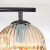Gastor Plafondlamp, Kogellampje Amber, 2-lichts