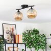 Gastor Plafondlamp, Kogellampje Amber, 2-lichts
