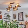 Koyoto Plafondlamp, Kogellampje Goud, Zwart, 8-lichts