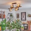 Koyoto Plafondlamp, Kogellampje Goud, Zwart, 8-lichts