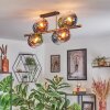 Koyoto Plafondlamp, Kogellampje Goud, Zwart, 8-lichts