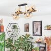 Koyoto Plafondlamp, Kogellampje Goud, Zwart, 8-lichts