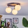 Chehalis Plafondlamp, Kogellampje Wit, 3-lichts