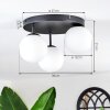 Chehalis Plafondlamp, Kogellampje Wit, 3-lichts