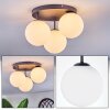 Chehalis Plafondlamp, Kogellampje Wit, 3-lichts