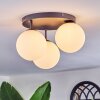 Chehalis Plafondlamp, Kogellampje Wit, 3-lichts