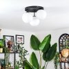 Chehalis Plafondlamp, Kogellampje Wit, 3-lichts