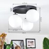 Chehalis Plafondlamp, Kogellampje Wit, 3-lichts