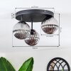 Chehalis Plafondlamp, Kogellampje Rookkleurig, 3-lichts