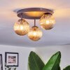Chehalis Plafondlamp, Kogellampje Amber, 3-lichts