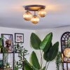 Chehalis Plafondlamp, Kogellampje Amber, 3-lichts