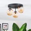 Chehalis Plafondlamp, Kogellampje Amber, 3-lichts