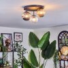 Chehalis Plafondlamp, Kogellampje Amber, Duidelijk, Rookkleurig, 3-lichts
