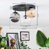 Chehalis Plafondlamp, Kogellampje Amber, Duidelijk, Rookkleurig, 3-lichts