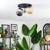 Chehalis Plafondlamp, Kogellampje Amber, Duidelijk, Rookkleurig, 3-lichts