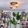 Chehalis Plafondlamp, Kogellampje Amber, Duidelijk, Rookkleurig, 3-lichts