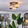 Chehalis Plafondlamp, Kogellampje Amber, Duidelijk, Rookkleurig, 3-lichts