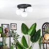 Chehalis Plafondlamp, Kogellampje Wit, 3-lichts