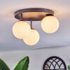 Chehalis Plafondlamp, Kogellampje Wit, 3-lichts