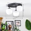 Chehalis Plafondlamp, Kogellampje Wit, 3-lichts