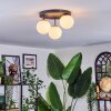 Chehalis Plafondlamp, Kogellampje Wit, 3-lichts