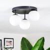 Chehalis Plafondlamp, Kogellampje Wit, 3-lichts